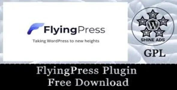 FlyingPress 5.3.3 - Taking WordPress To New Heights