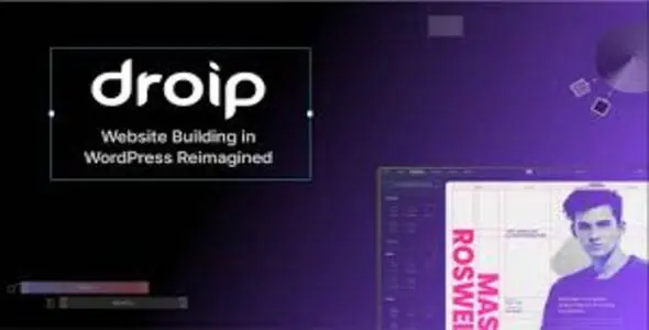 Droip v2.3.9 - No-Code website builder for WordPress
