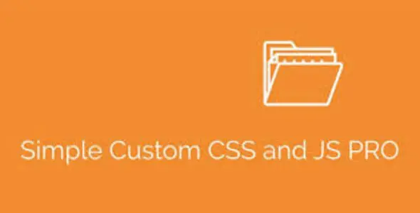 Simple Custom CSS and JS PRO