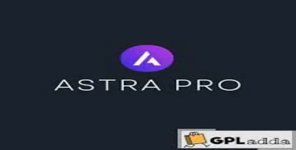 Astra Pro Addon v4.11.12 – Perfect Theme For Any Website