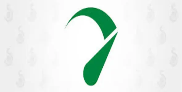 Seraphinite Accelerator v2.27.42