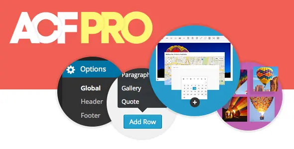 Advanced Custom Fields Pro v6.8.0.1